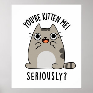 Poster You're Kitten Me Seriously Funny Cat Pun