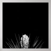 Poster Yucca noir et blanc par LLR (Devant)