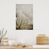 Poster Yucca recouvert de givre en hiver (Cuisine)