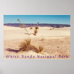 Poster Yuccas de sable blanc