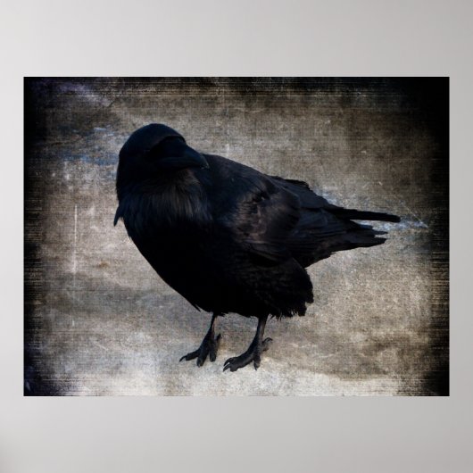 Poster Yukon Raven Grunge (Devant)