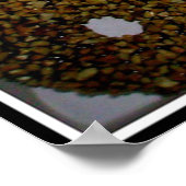 POSTER YUMMY DONUTS (Coin)