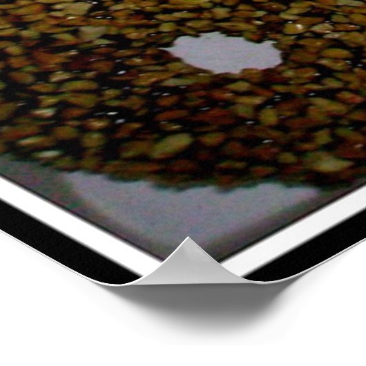 POSTER YUMMY DONUTS (Coin)