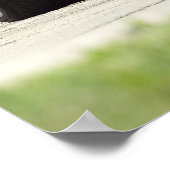 POSTER Z28 1969 (Coin)