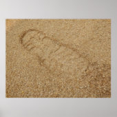 Poster Zaagstoflaars afdrukken (Voorkant)