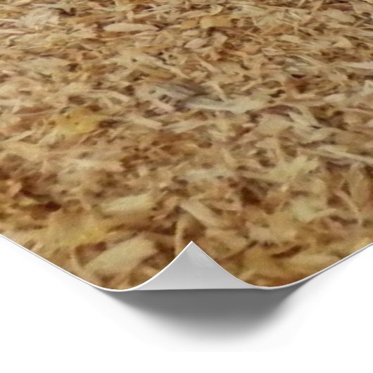 Poster Zaagstoflaars afdrukken (Hoek)