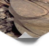 Poster Zacharias (Coin)