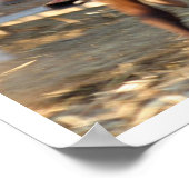 Poster Zack & Jesse (Coin)