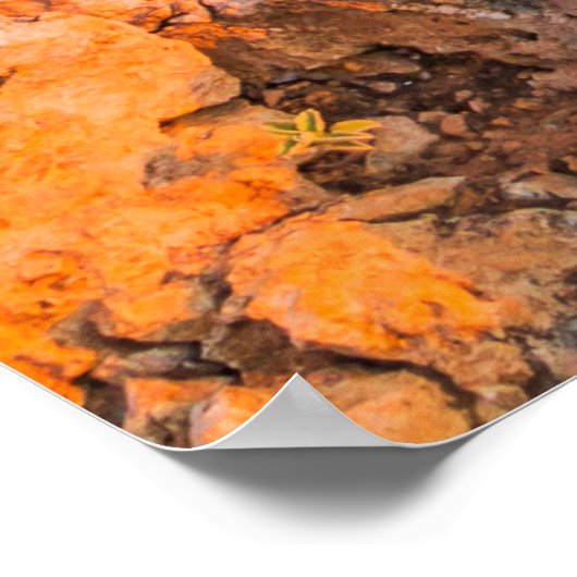 Poster Zakynthos, Grèce. (Coin)