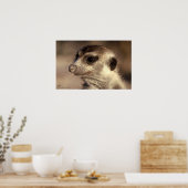 Poster Zaphod - Collection de Whiskers Royaux (Cuisine)