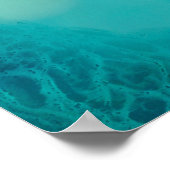 Poster Zauberhafte Blüte (Coin)