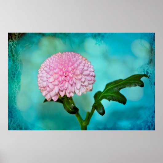 Poster Zauberhafte Blüte (Devant)