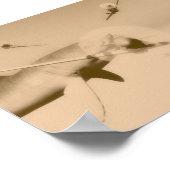 Poster zazzé (Coin)