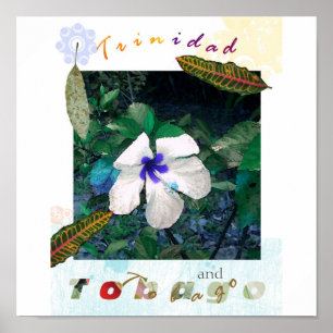 Poster zazzle bleu de solides totaux de pollen