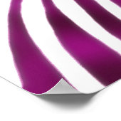 POSTER ZEBRA (Coin)