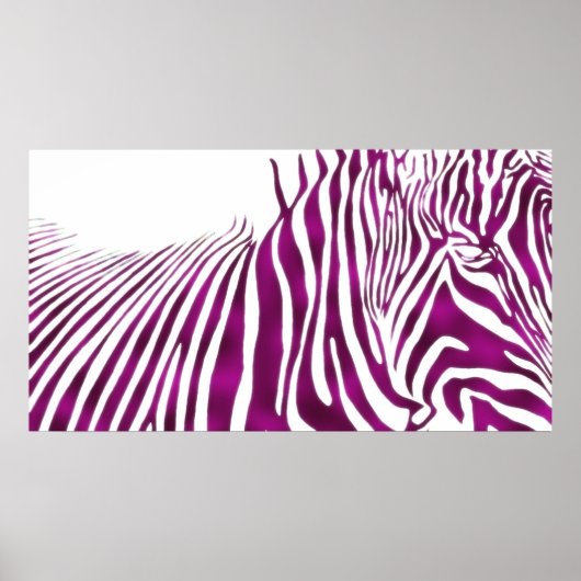 POSTER ZEBRA (Devant)