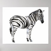 Poster Zebra (Devant)