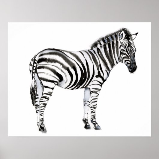 Poster Zebra (Devant)