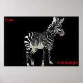 Poster Zebra (Devant)