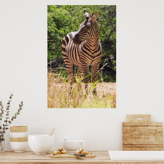 Poster Zebra (Cuisine)