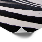 Poster Zebra (Coin)