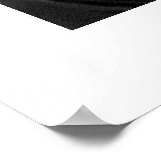 Poster Zebra #1 (Coin)