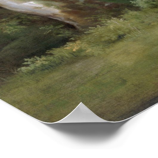 Poster Zebra (1763) (Coin)