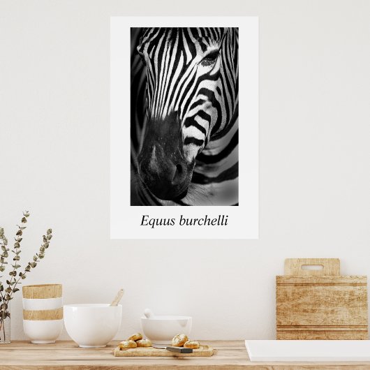 Poster Zebra #1 Equus burchelli (Cuisine)