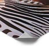 Poster Zebra Animal Nature Faune Affection Soin (Coin)