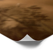 Poster Zebra Animal Wild Beauté Freedom Wilderness Art (Coin)