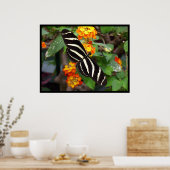 Poster Zebra Butterfly (Cuisine)