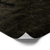 Poster Zebra Dawn (Coin)