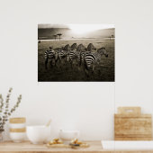 Poster Zebra Dawn (Cuisine)