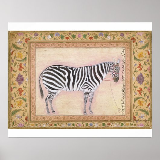 Poster Zebra, de l'album Minto, 1621 (gouache sur pa (Devant)
