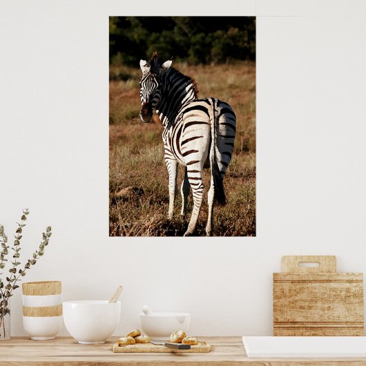 Poster Zebra derrière l'affiche (Cuisine)
