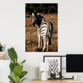 Poster Zebra derrière l'affiche (Bureau à domicile)
