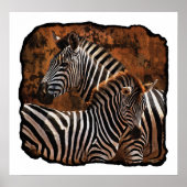 Poster Zebra Fall Stripes Grande affiche, impression, mur (Devant)