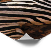 Poster Zebra Fall Stripes PETITE affiche, impression, mur (Coin)