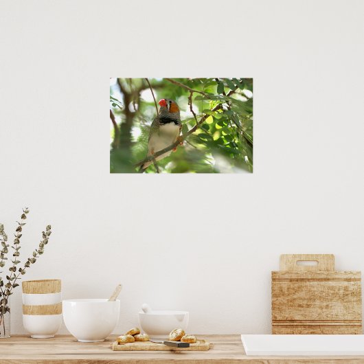 Poster Zebra Finch (Cuisine)