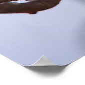 Poster Zebra-finch (Coin)