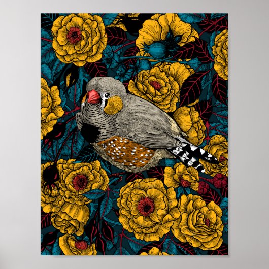 Poster Zebra finch et buisson rose (Devant)