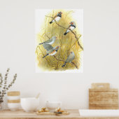 Poster Zebra Finch Group - Taeniopygia guttata (Cuisine)