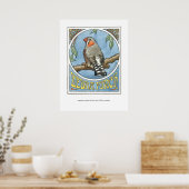Poster Zebra Finch Nouveau (Cuisine)
