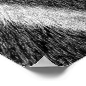 Poster Zebra Fur Motif animal (Coin)