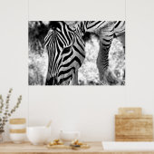 Poster Zebra gros plan (Cuisine)