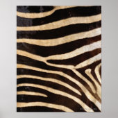 Poster Zebra hide 2 (Devant)