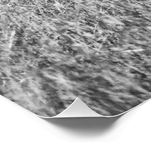 Poster Zebra in high grass (Coin)