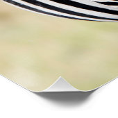 Poster Zebra looking at you (Coin)