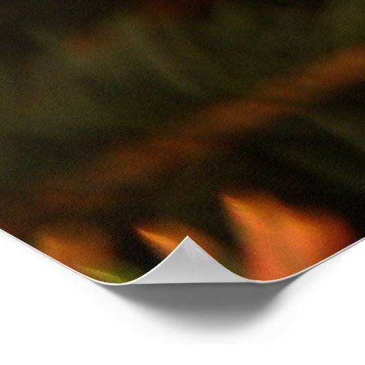 Poster Zebra Rocking Horse (Coin)