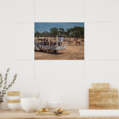 Poster Zebra Safari Tour Camion dans le parc animalier (Cuisine)